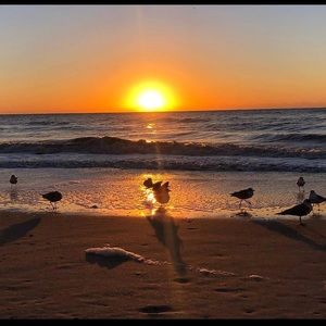 Meet your Posher, Jaycee